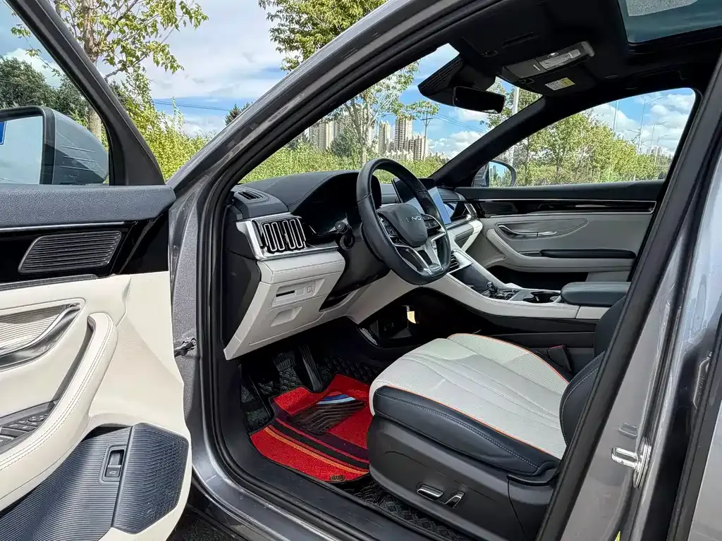 BYD PLUS New Energy — фото 10