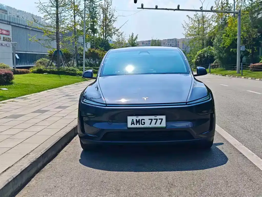 Tesla Model Y — фото 7