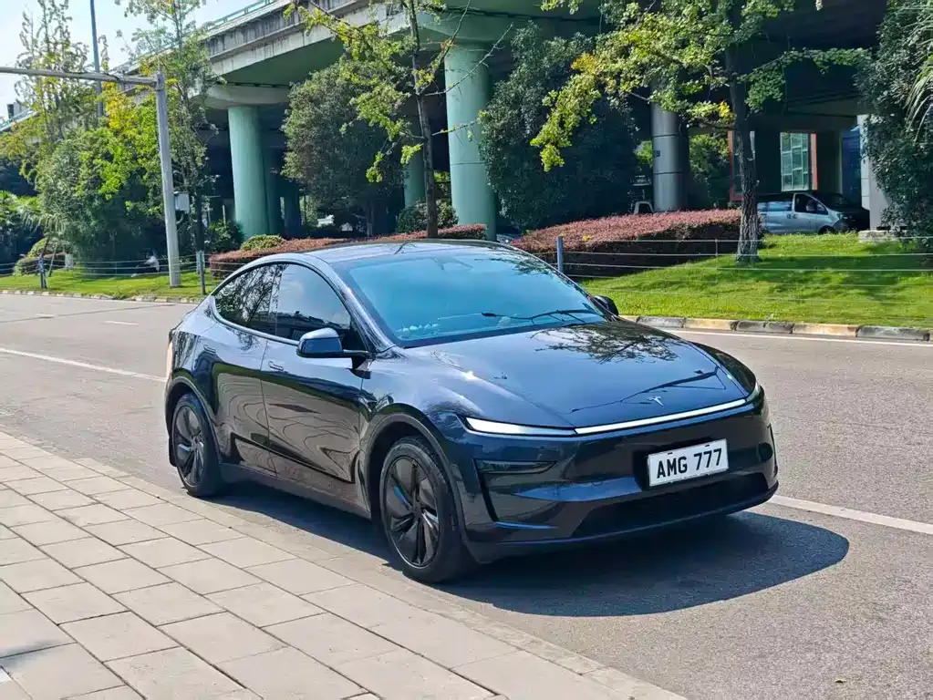 Tesla Model Y — фото 2