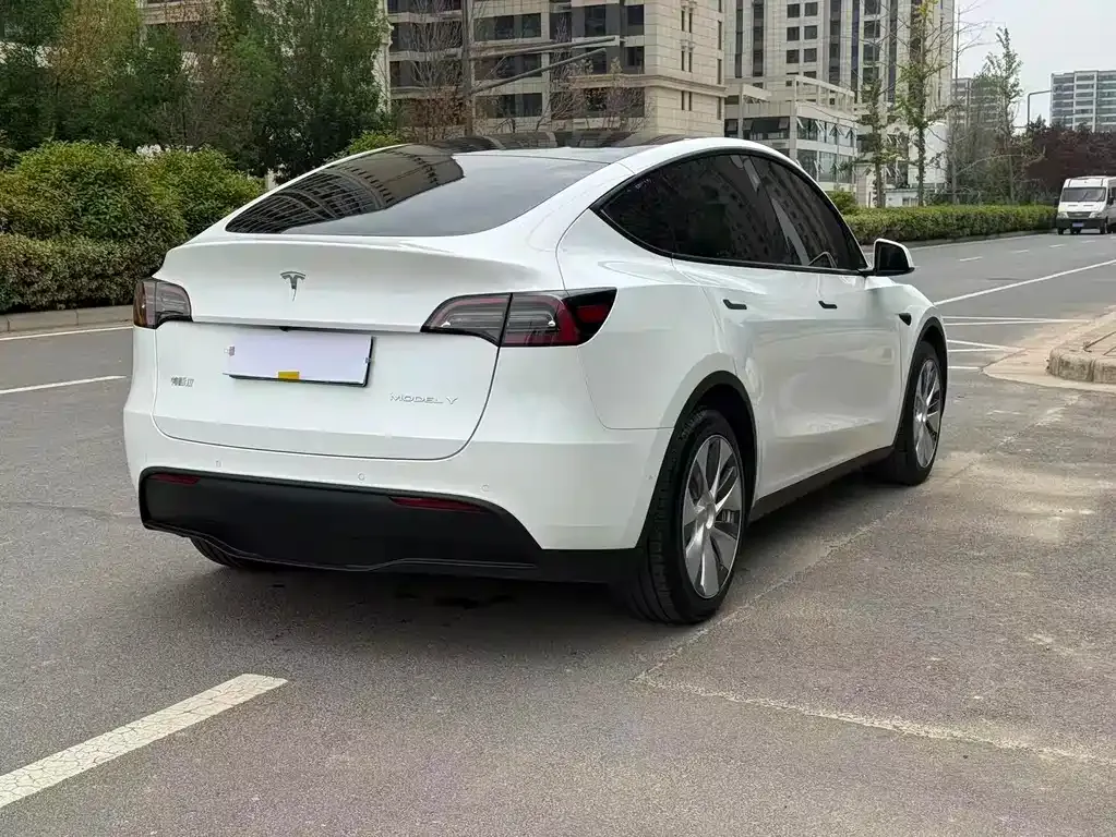 Tesla Model Y — фото 10