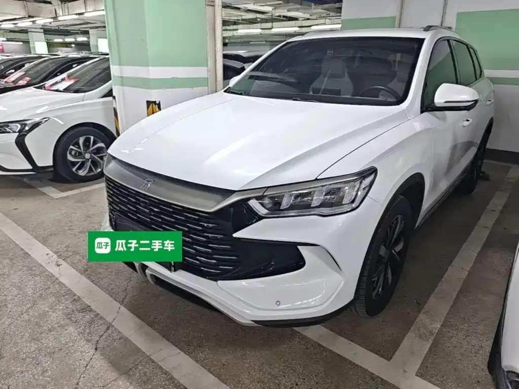 BYD Pro New Energy — фото 1