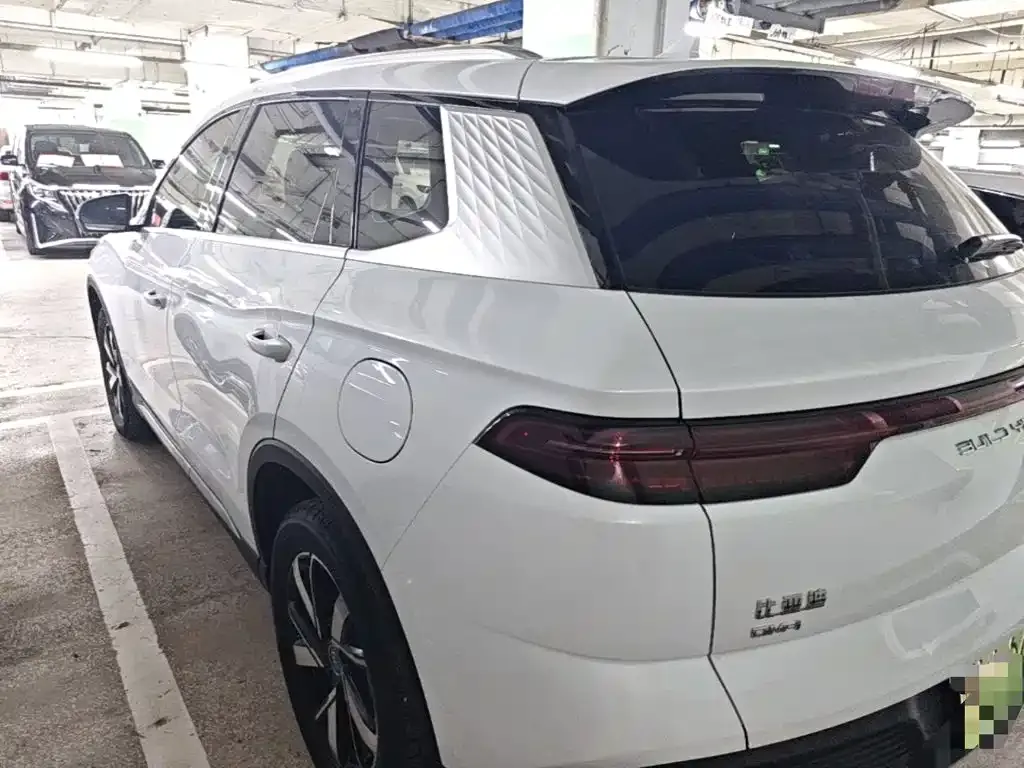 BYD Pro New Energy — фото 10