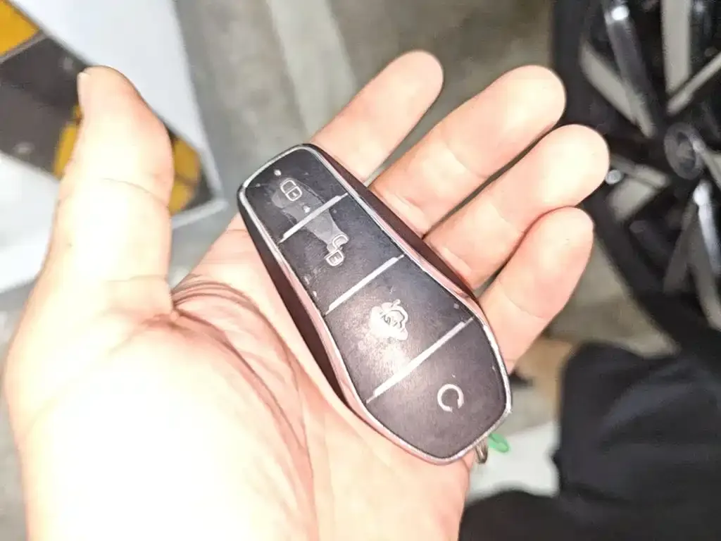 BYD Pro New Energy — фото 2