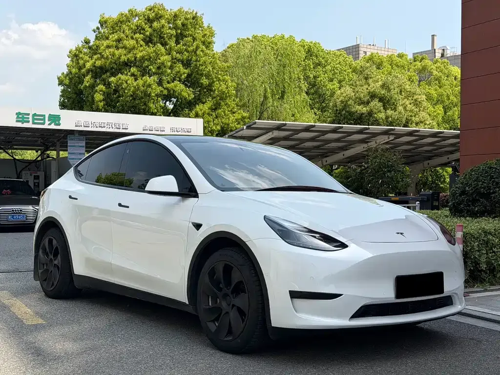 Tesla Model Y — фото 3