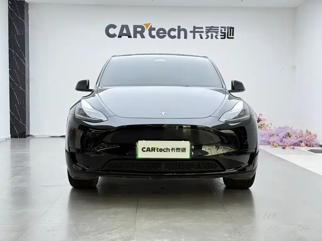 Tesla Model Y — фото 8
