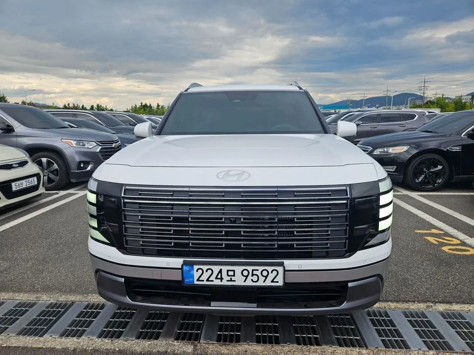 Hyundai Palisade — фото 7