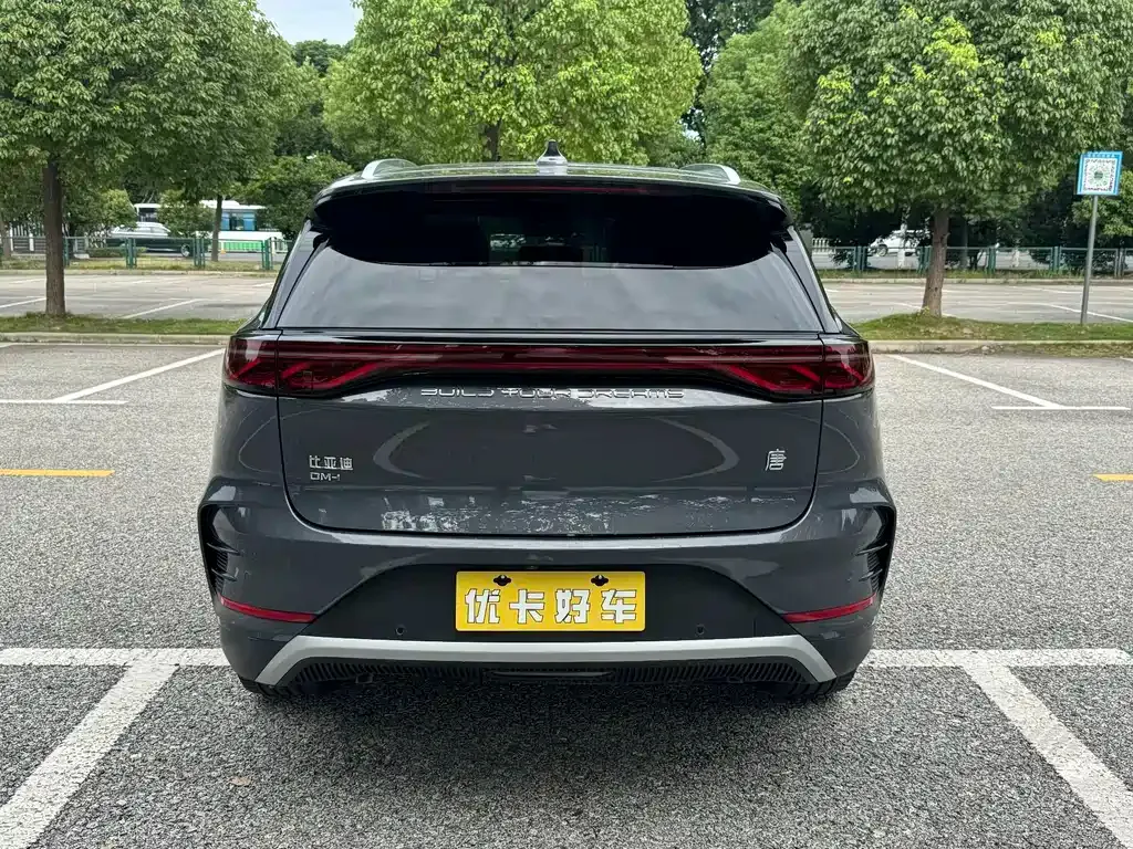 BYD Tang New Energy — фото 10