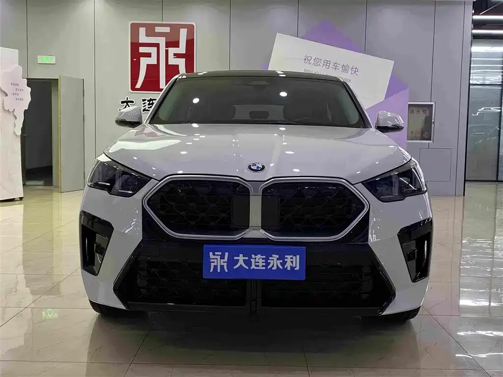 BMW X2 (Import) — фото 6