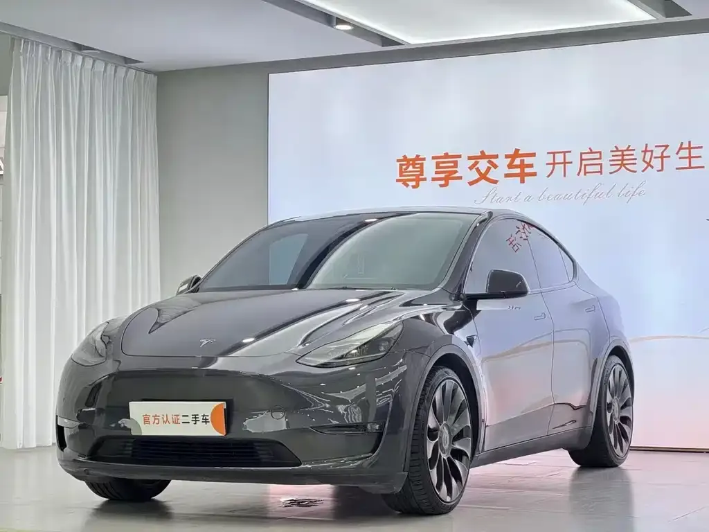 Tesla Model Y — фото 1