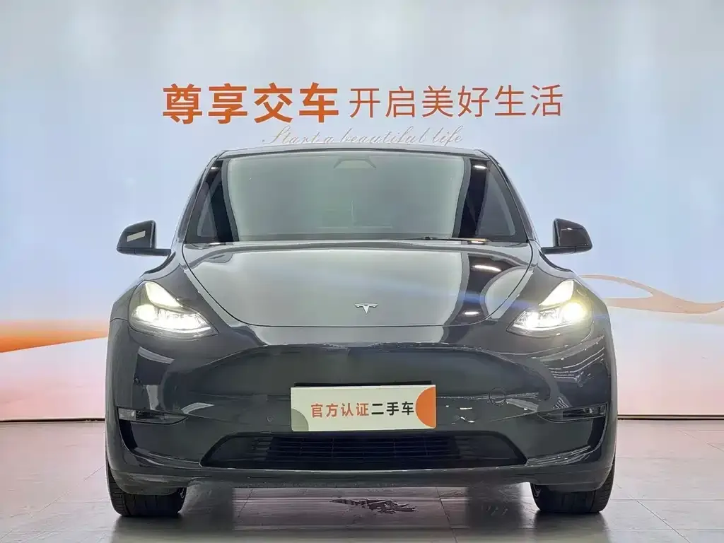Tesla Model Y — фото 2