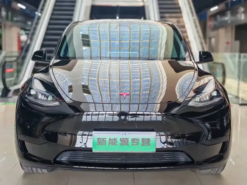 Tesla Model Y — фото 1