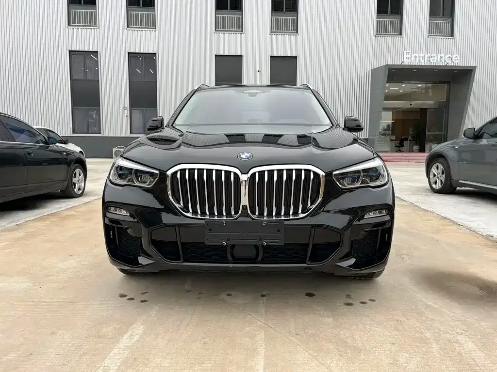 BMW X5 (Import) — фото 6