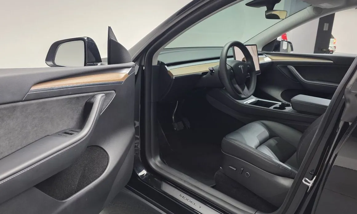 Tesla Model Y — фото 10
