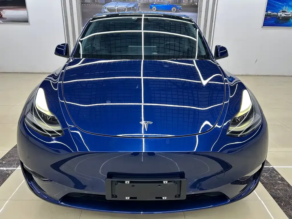 Tesla Model Y — фото 2