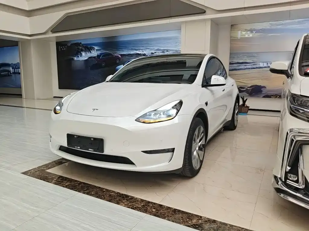Tesla Model Y — фото 10
