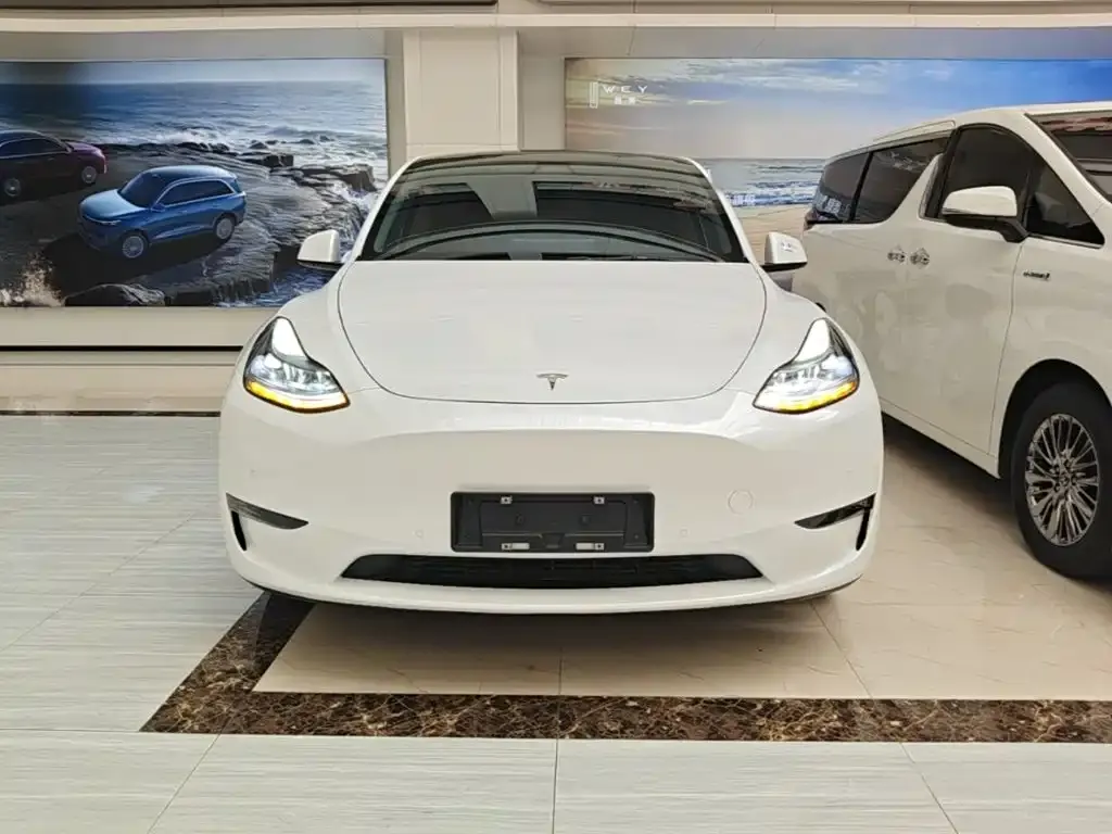 Tesla Model Y — фото 9