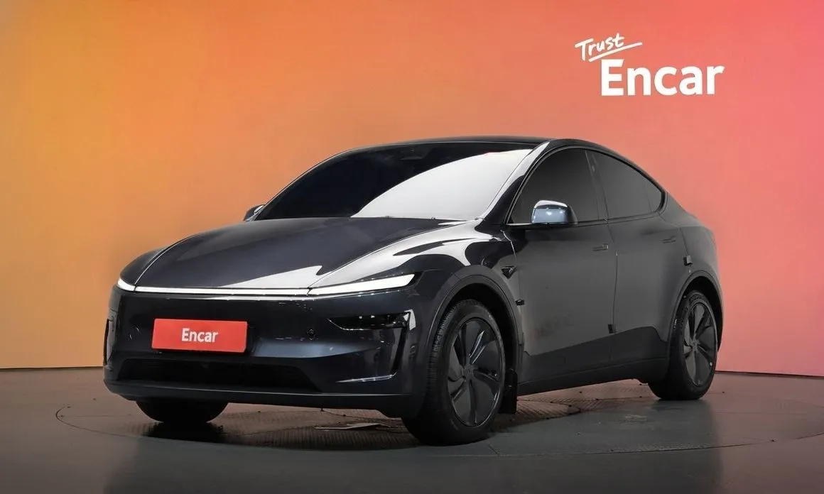 Tesla Model Y — фото 1