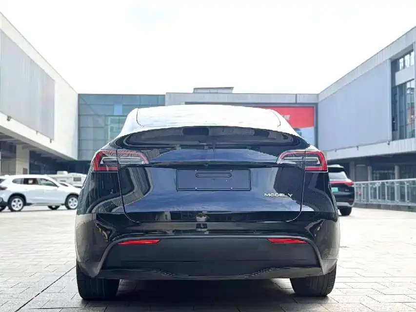 Tesla Model Y — фото 2