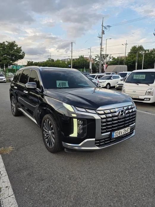 Hyundai Palisade — фото 8