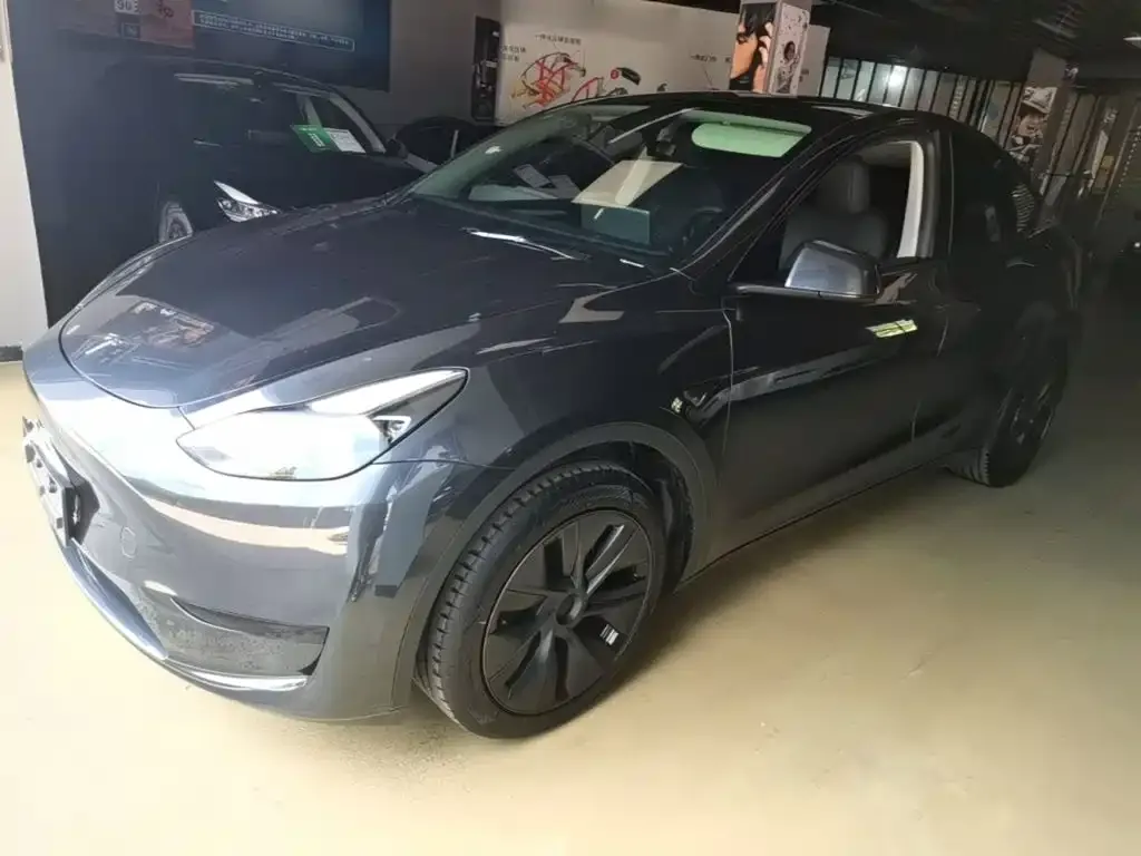 Tesla Model Y — фото 6