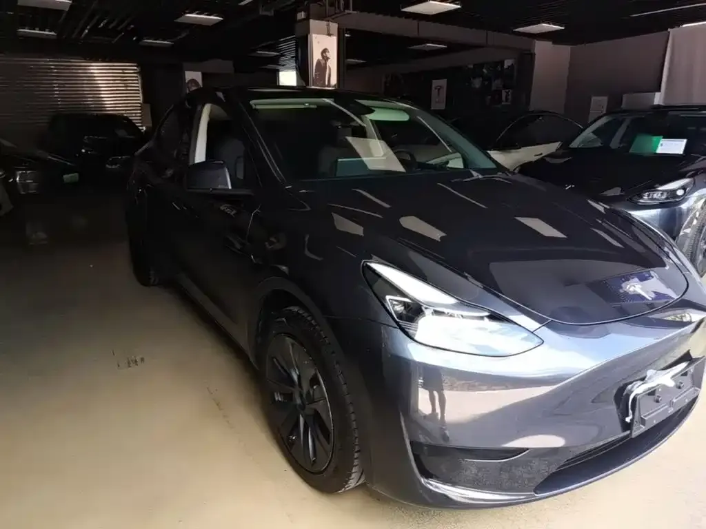 Tesla Model Y — фото 4