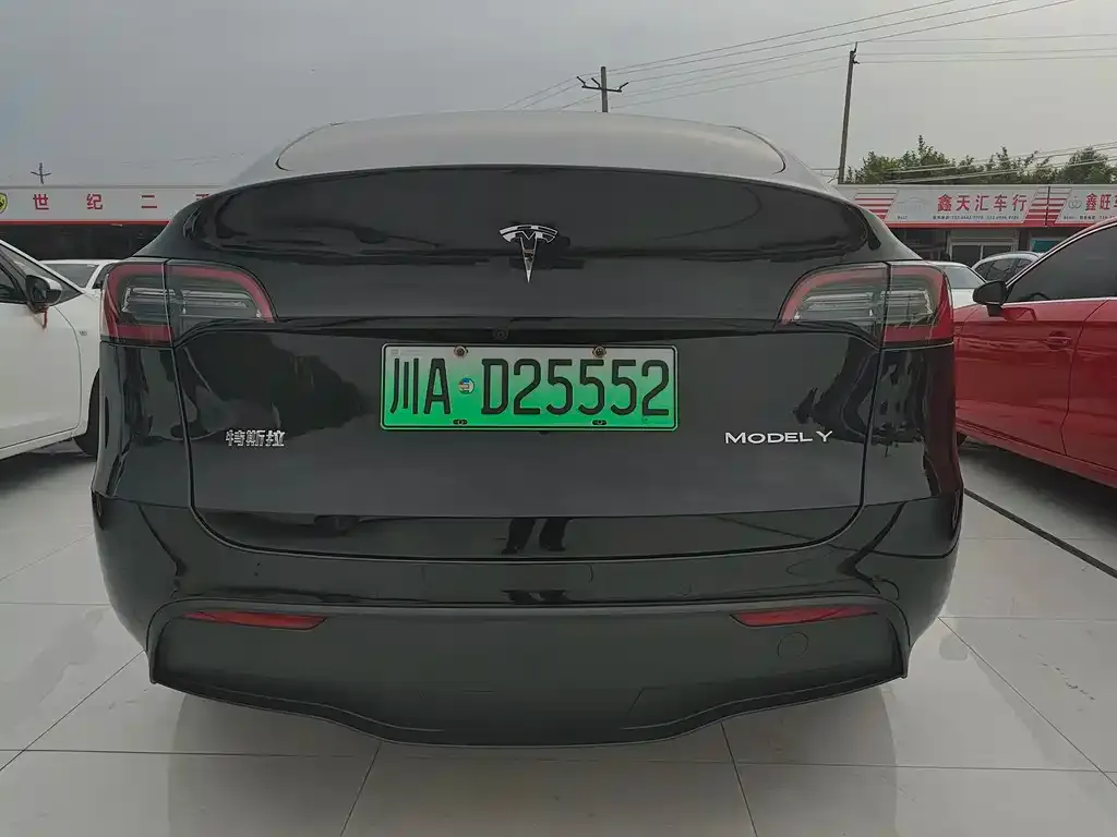 Tesla Model Y — фото 2