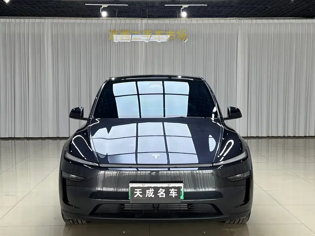 Tesla Model Y — фото 2
