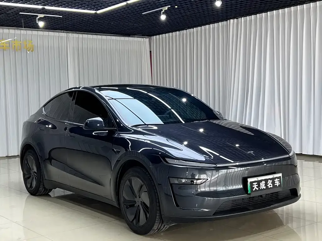 Tesla Model Y — фото 6