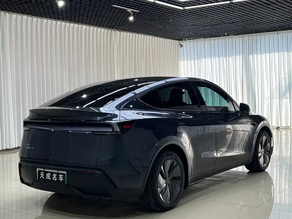 Tesla Model Y — фото 10