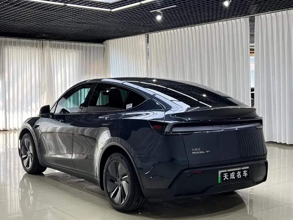 Tesla Model Y — фото 8