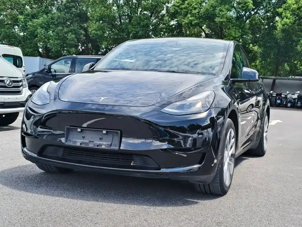 Tesla Model Y — фото 1