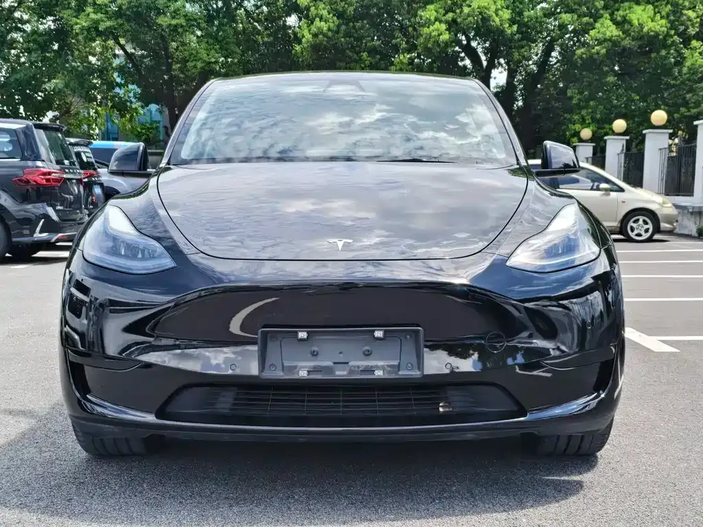 Tesla Model Y — фото 10