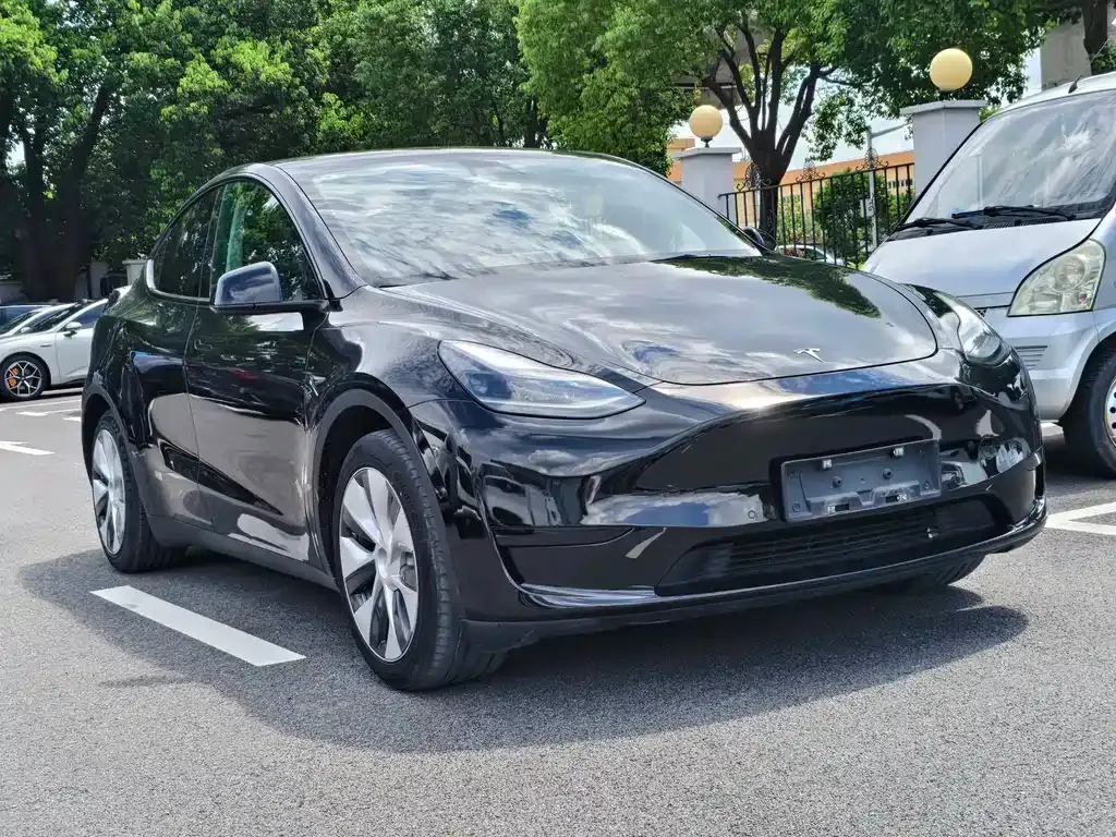 Tesla Model Y — фото 8