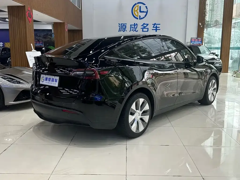 Tesla Model Y — фото 6