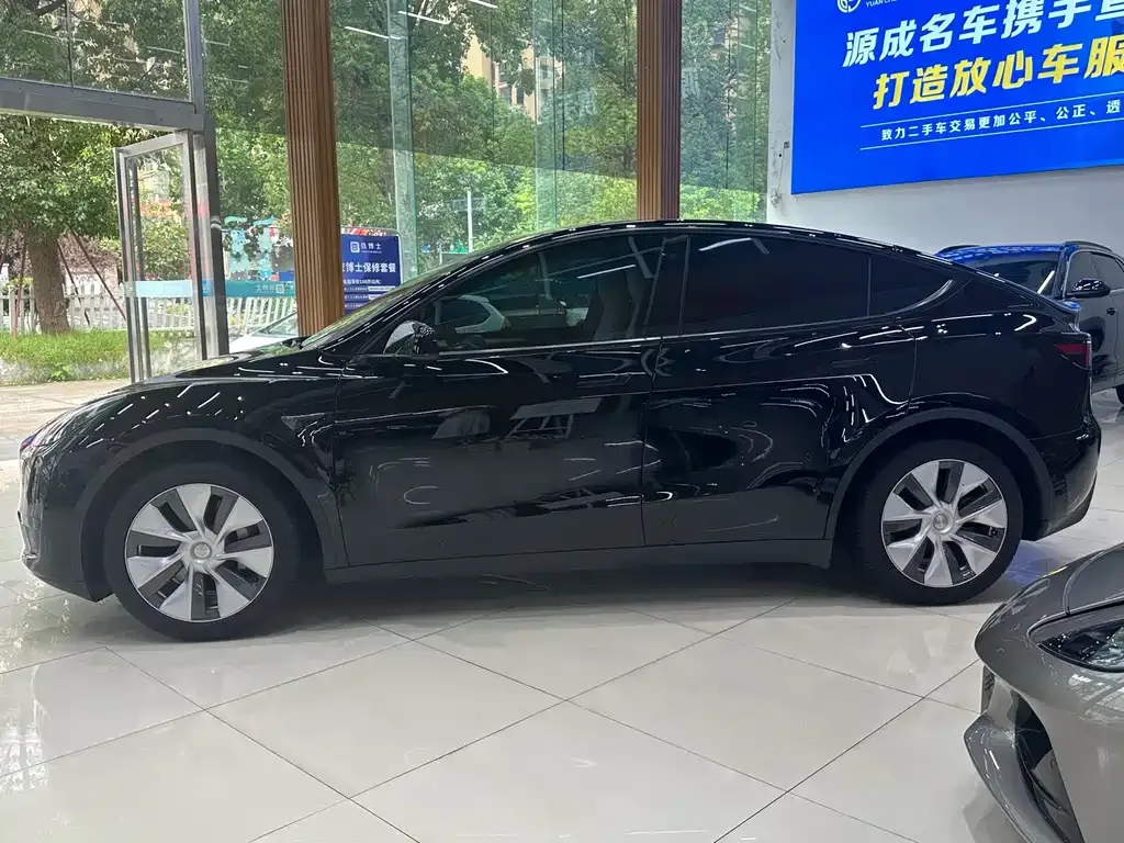 Tesla Model Y — фото 10