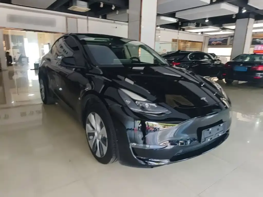 Tesla Model Y — фото 2