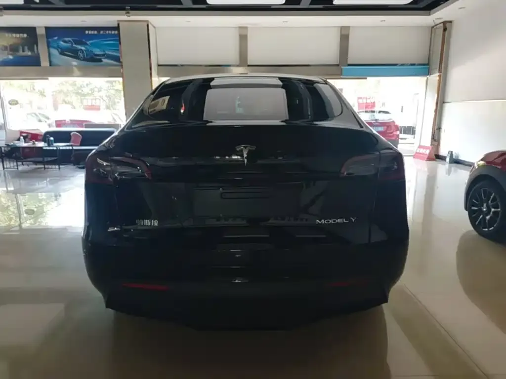 Tesla Model Y — фото 3