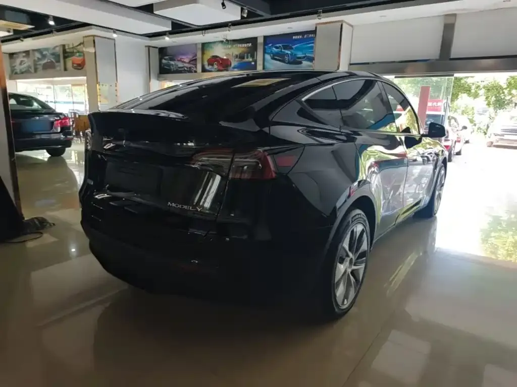 Tesla Model Y — фото 10