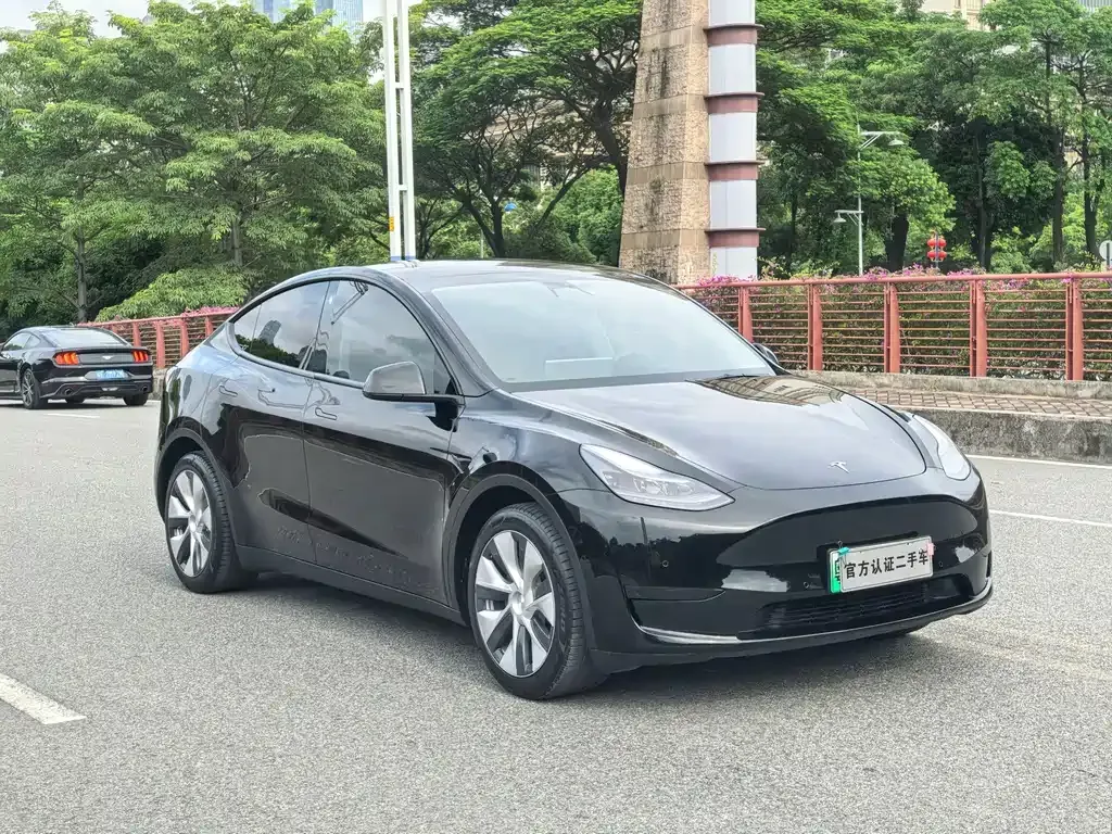 Tesla Model Y — фото 10
