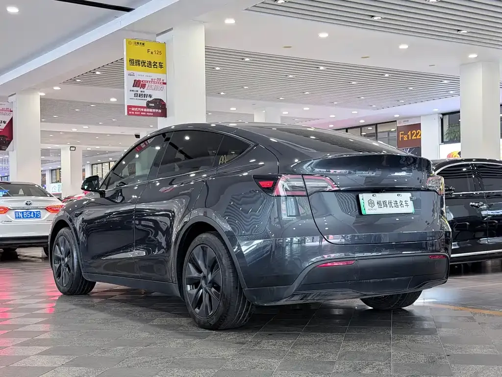 Tesla Model Y — фото 9