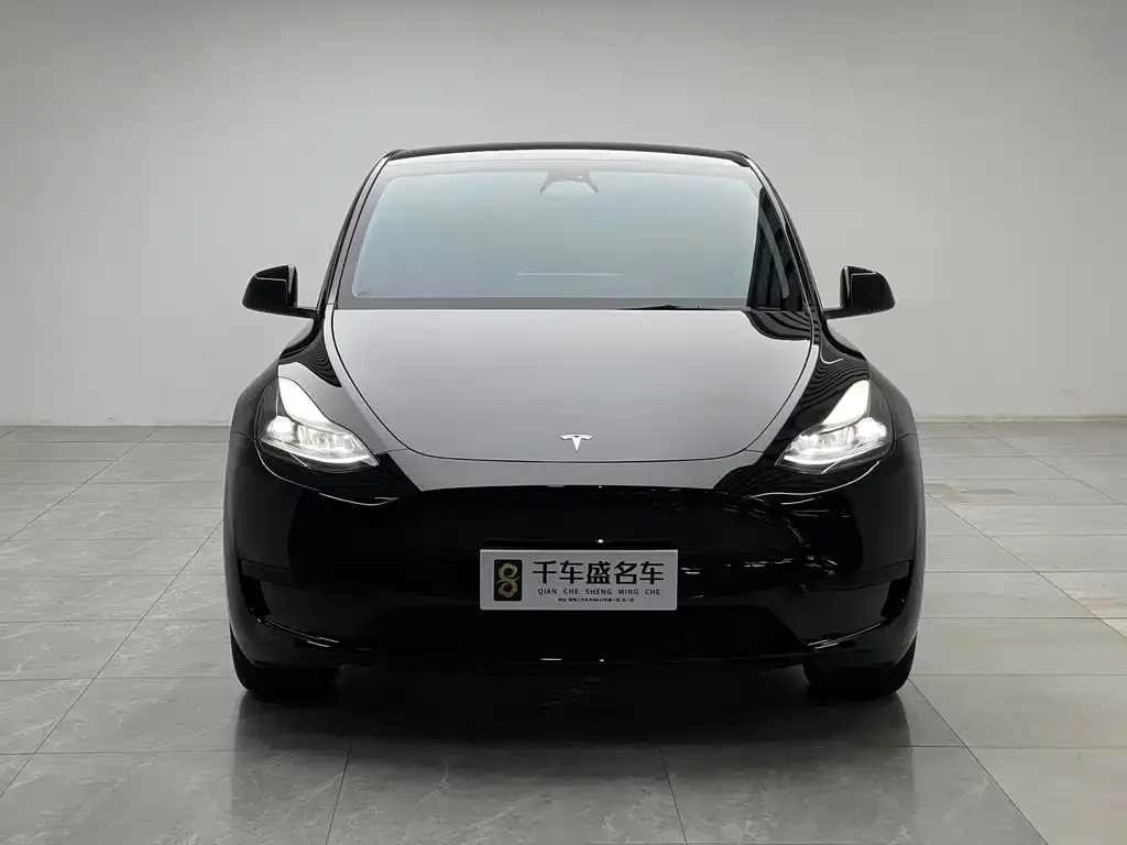 Tesla Model Y — фото 9