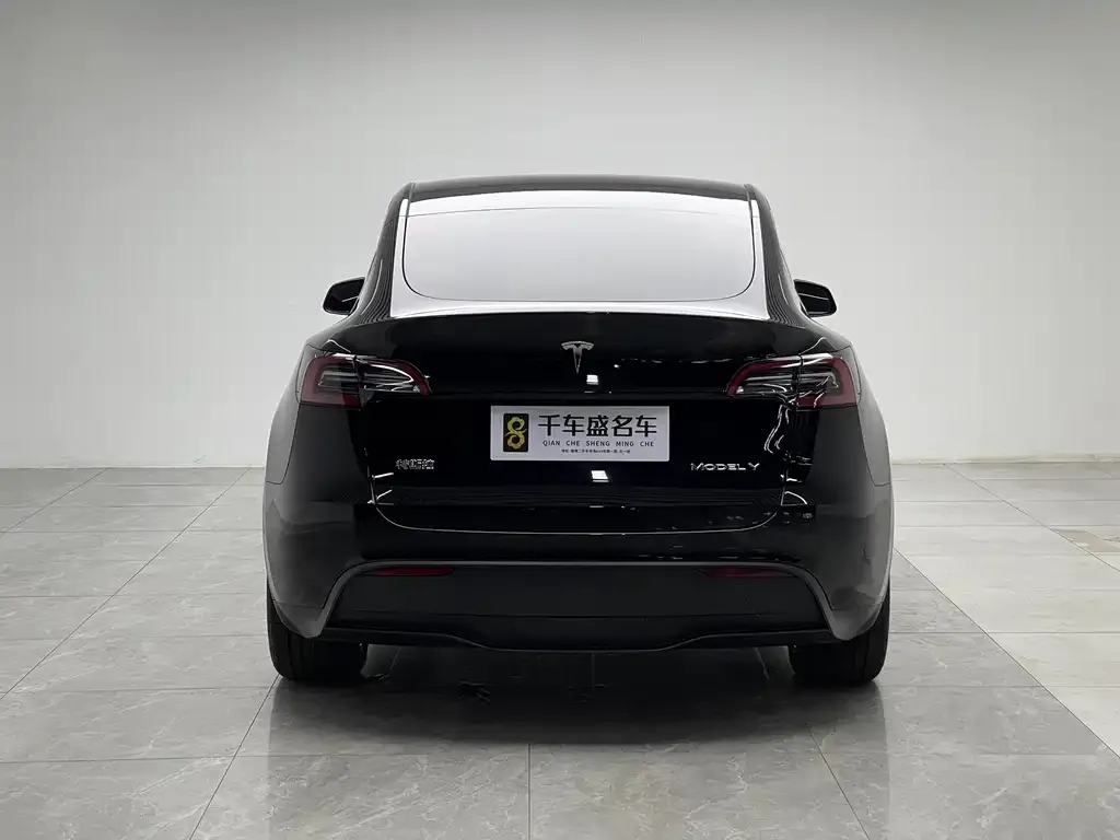 Tesla Model Y — фото 5