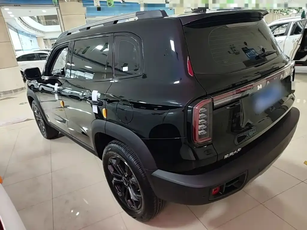 Haval Big Dog — фото 10