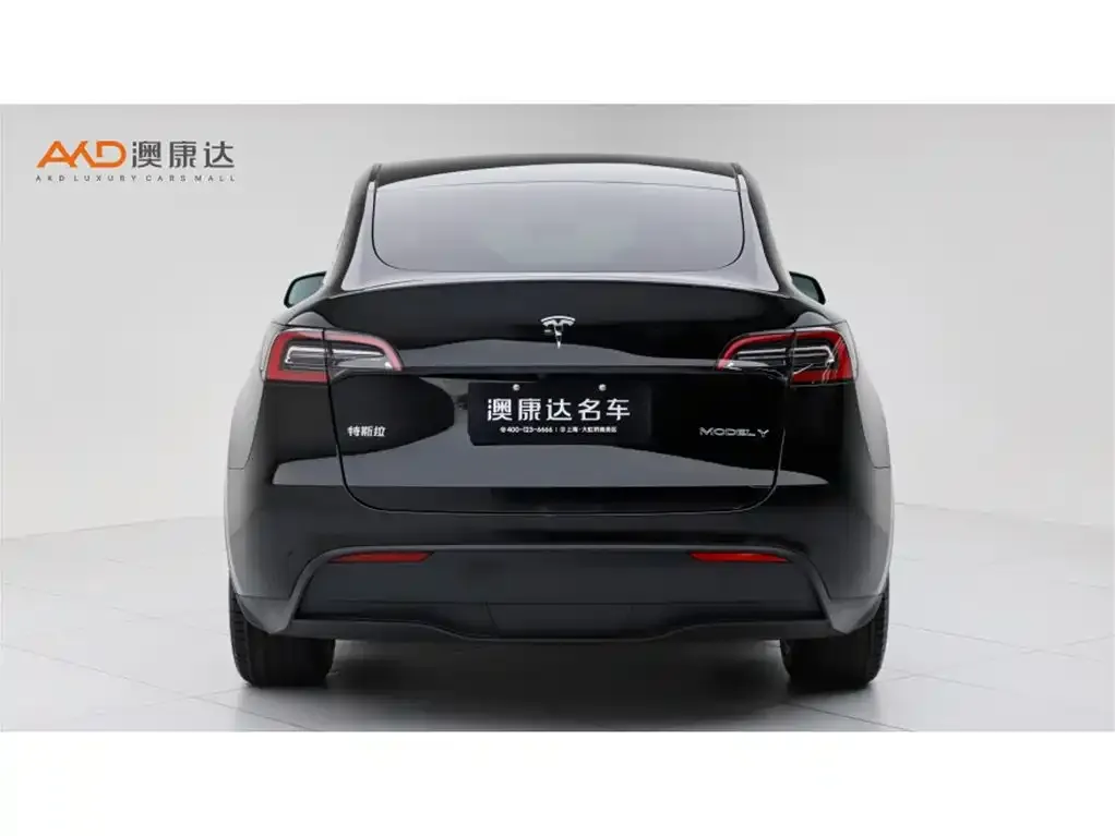 Tesla Model Y — фото 8