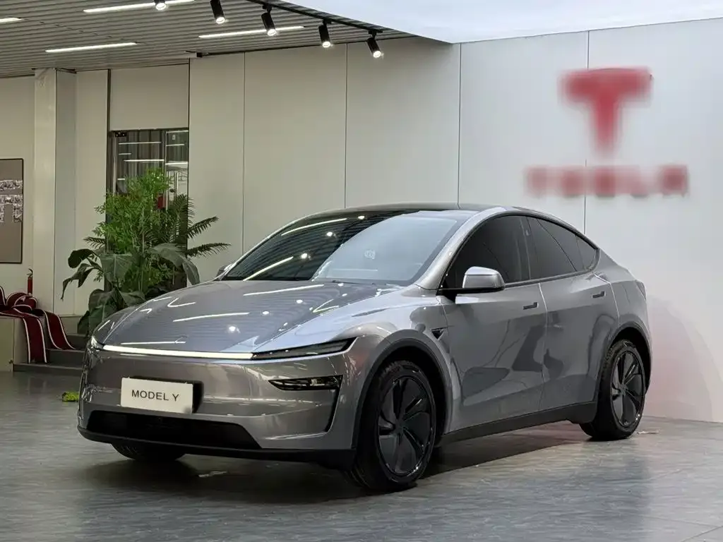 Tesla Model Y — фото 3