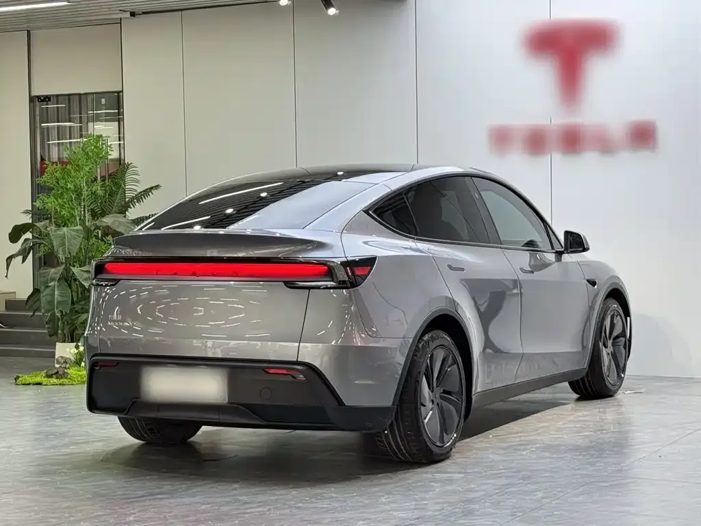 Tesla Model Y — фото 10