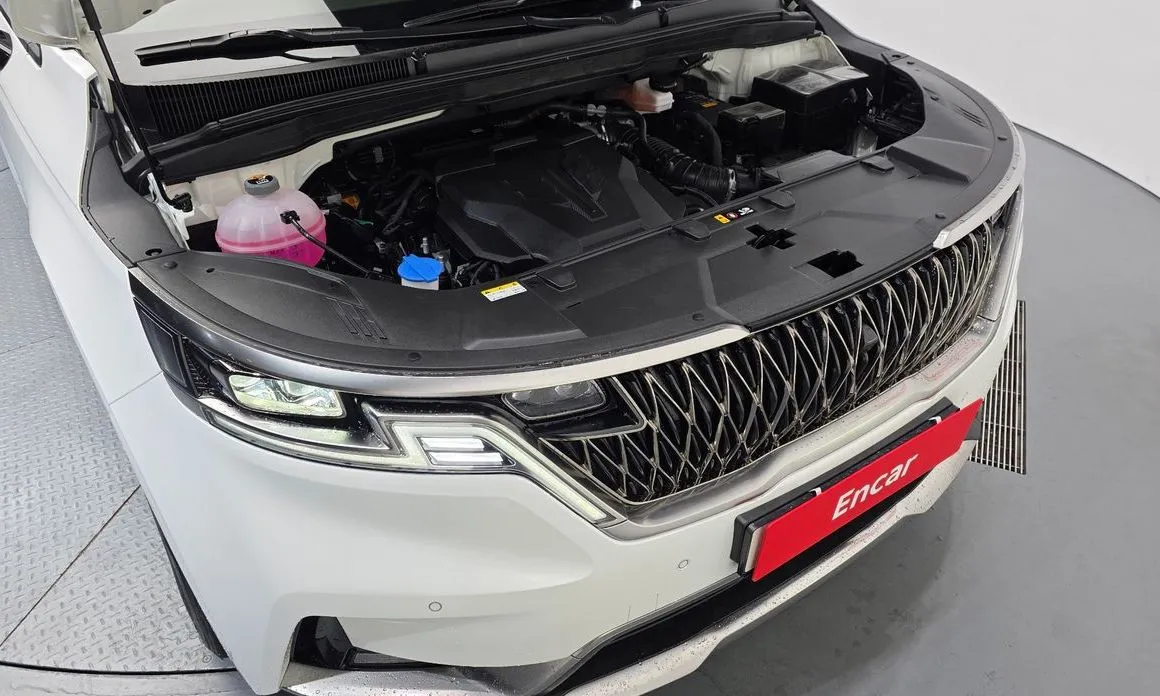 Kia Carnival — фото 10