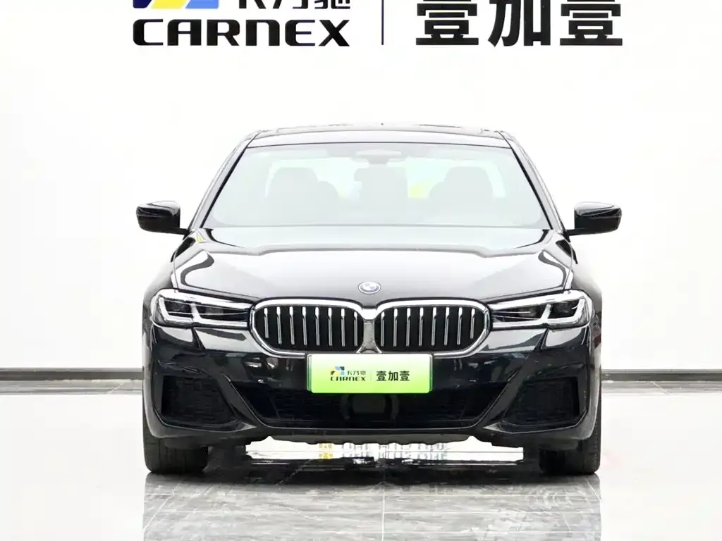 BMW 5 Series New Energy — фото 3