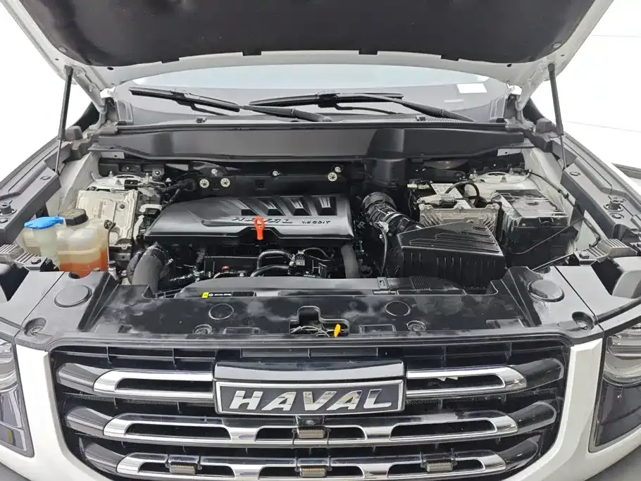 Haval Big Dog — фото 7