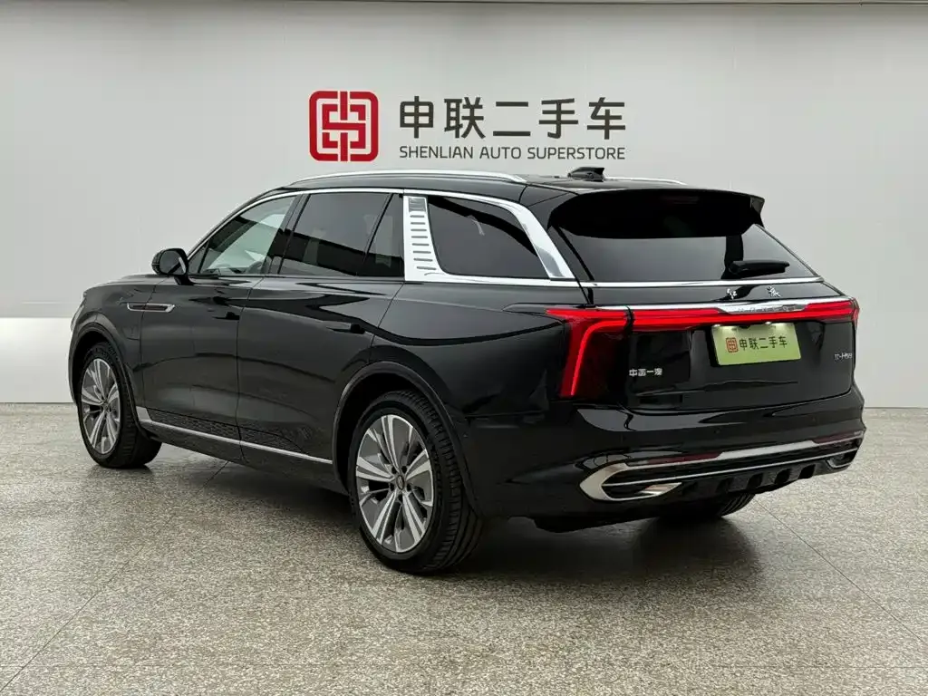 Hongqi E-HS9 — фото 10
